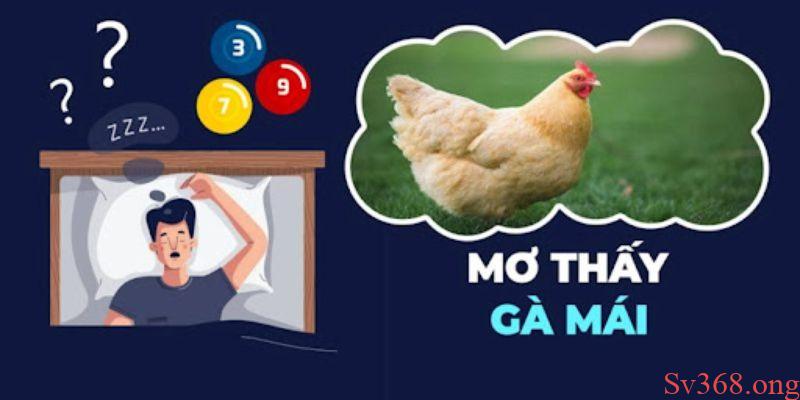 Ý nghĩa cụ thể của một số giấc mơ thấy gà