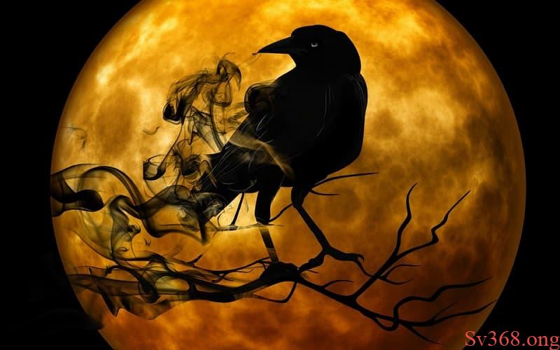 mơ thấy quạ đen mơ thấy quạ đen