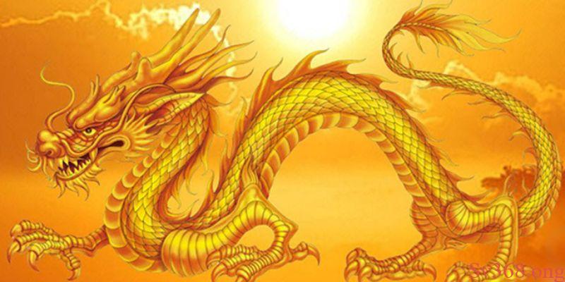 Nằm thấy rồng đang đuổi theo bản thân