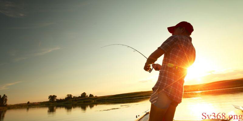 Mơ Thấy Đi Câu Cá - Thông Điệp Về Các Giấc Mơ Cùng SV368 10 Thông điệp chung về việc mơ thấy đi câu cá