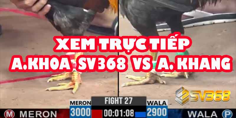 Đá Gà Trực Tiếp SV368: A Khoa vs A Khang | Kèo 30 Triệu Full HD 9 Đá Gà Trực Tiếp SV368: A Khoa vs A Khang | Kèo 30 Triệu Full HD