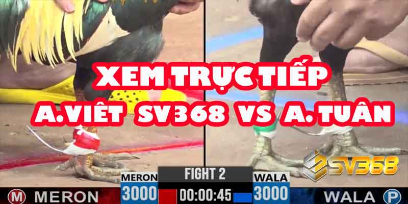 Highlight A Việt SV368 vs A Tuấn: Trận Cầu 100 Triệu Không Khoan Nhượng 10 Highlight A Việt SV368 vs A Tuấn: Trận Cầu 100 Triệu Không Khoan Nhượng