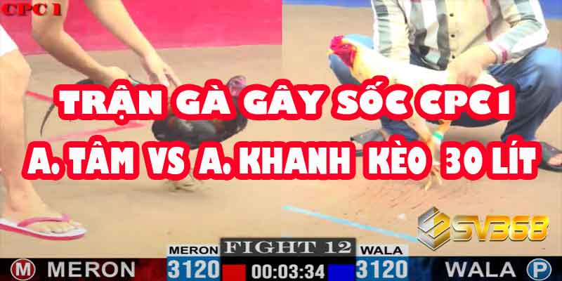 Kết Quả Gây Sốc: Gà A Tâm Thua Khó Tin, A Khanh Bất Ngờ Thắng Kèo 30 Triệu! 8 Kết Quả Gây Sốc: Gà A Tâm Thua Khó Tin, A Khanh Bất Ngờ Thắng Kèo 30 Triệu!