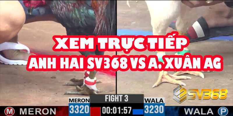 Xem trực tiếp: Anh Hai Sv368 gặp Anh Xuân An Giang ngày 7/7/2025